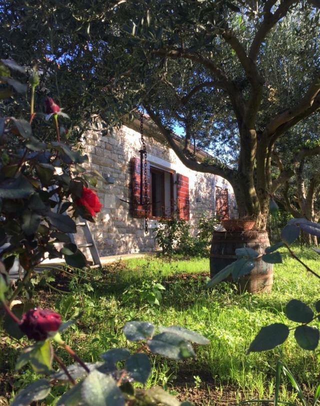 Casa Mala Villa Zadar Eksteriør bilde